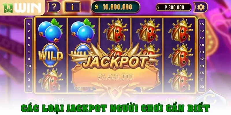 Các loại Jackpot là gì người chơi cần biết?