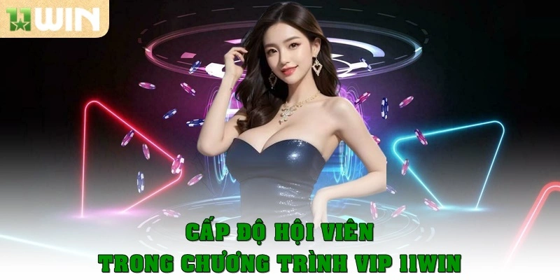 Cấp độ hội viên trong chương trình VIP 11win