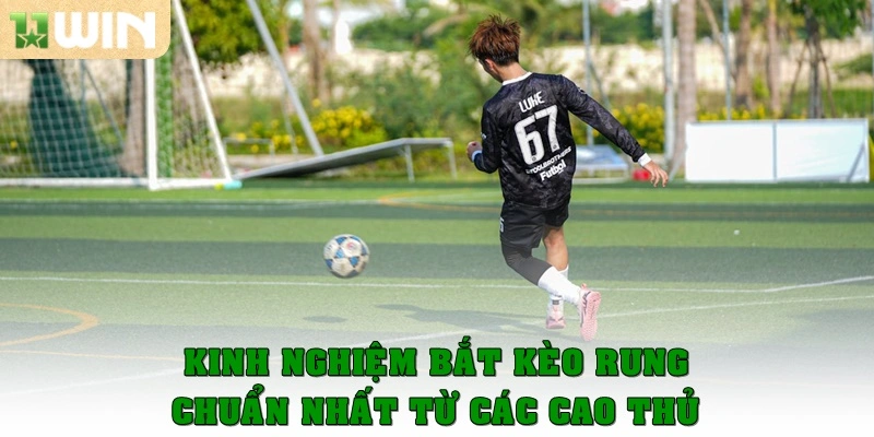 Kinh nghiệm bắt kèo rung chuẩn nhất từ các cao thủ